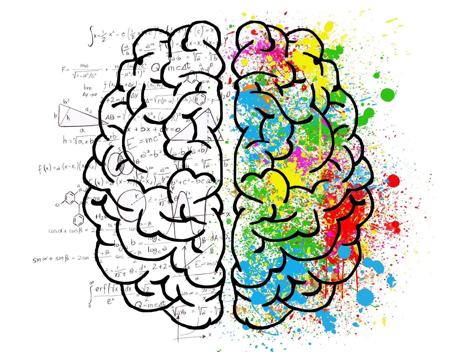 brain-g7f24ddaff_1920